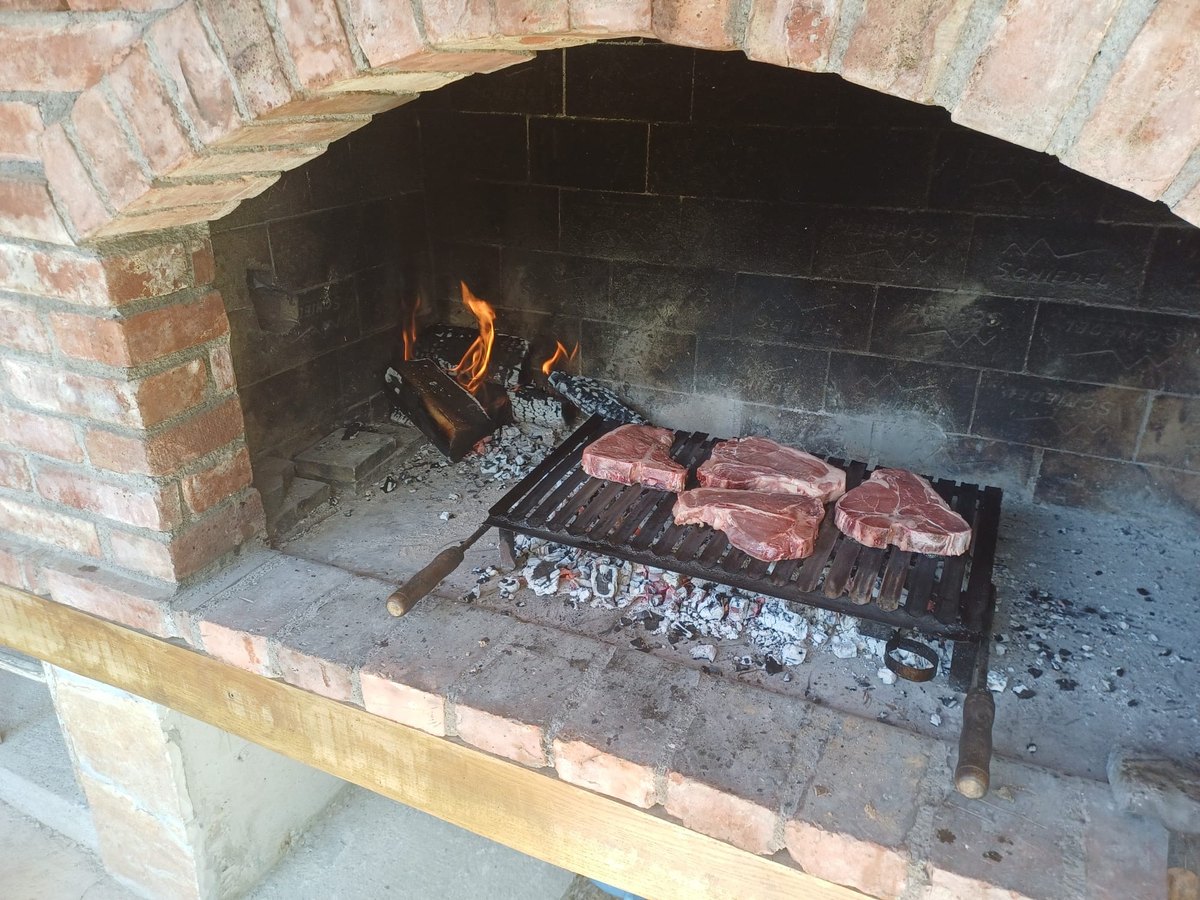 Vier rohe T-Bone-Steaks auf einem Rost über weißer Glut in einem alten Ziegelkamin, Holzfeuer im Hintergrund